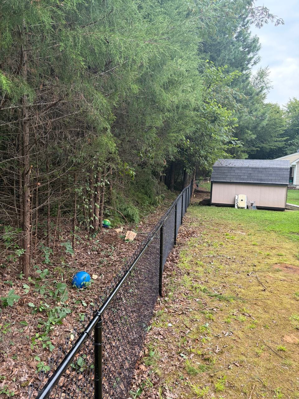 Black chain link fence running along a tree line toward a storage shed