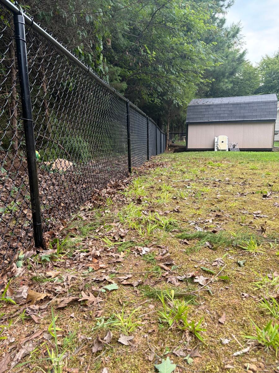 Black chain link fence along a wooded yard, running toward a storage shed